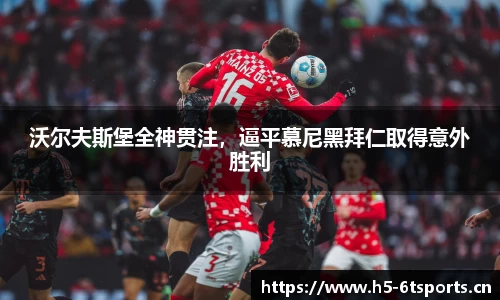 6t体育官网