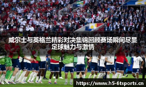 6t体育官网
