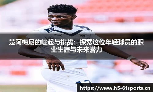6t体育官方网站