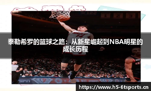 6t体育平台