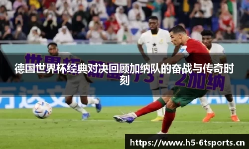 6t体育
