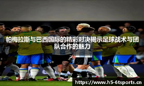 6t体育官方网站