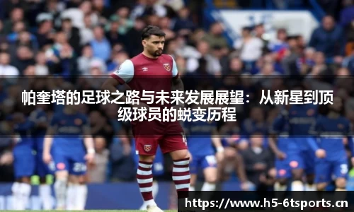 6t体育官网