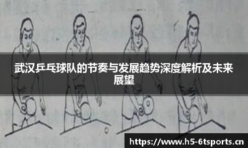 武汉乒乓球队的节奏与发展趋势深度解析及未来展望